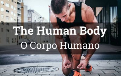 Aprenda a falar sobre partes do corpo humano em inglês