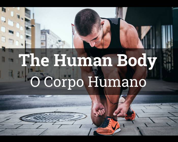 Aprenda a falar sobre partes do corpo humano em inglês